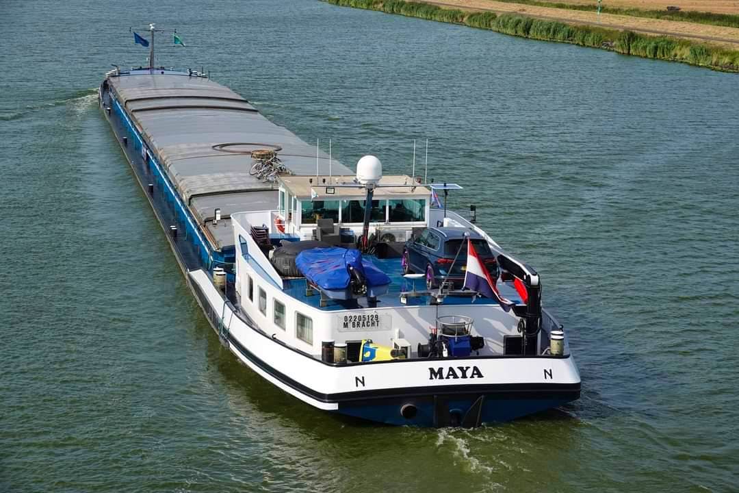 Sicera — thumbnail 2